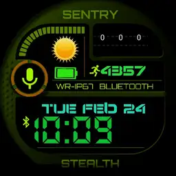 sentry