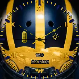 Michigan Helmet