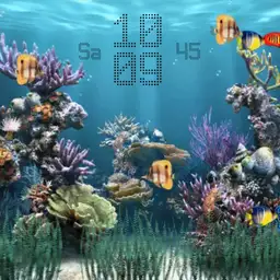 Aquarium Watch