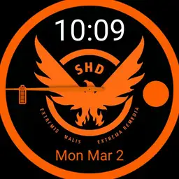 Division Phoenix watch