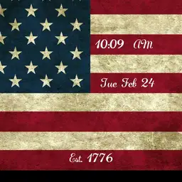 USA Flag