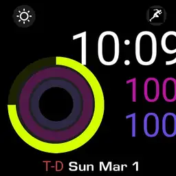 apple watch copy