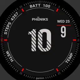 Garmin Pheniks S.