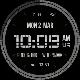 Carbon Digital customized