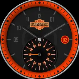 Harley Davidson black