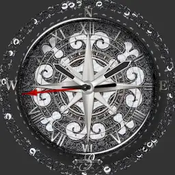 Vintage Compass