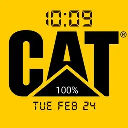 Cat Yellow