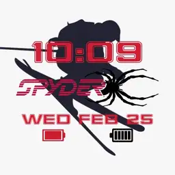 Spyder Skiing Logo