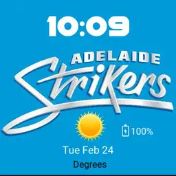 Adelaide Strikers Copy