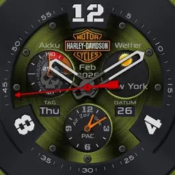 Harley Davidson3.0
