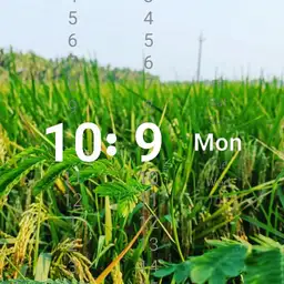 Green Fields
