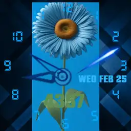 blue sunflower