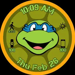 Tmnt Leonardo face
