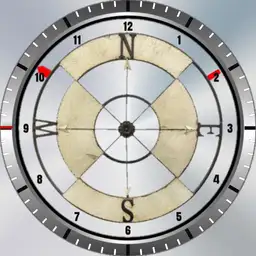 BoneS3_Compass1