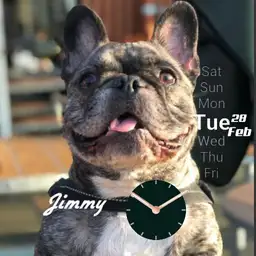 Jimmy