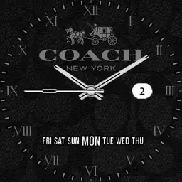 Coach Dark