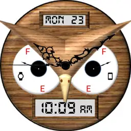 Owl