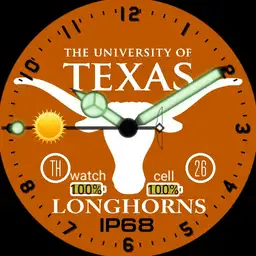 Texas Longhorns Copy