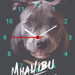 perro