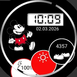 Mickey BWR