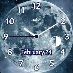 Moon Crazy