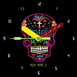 Rainbow Skull