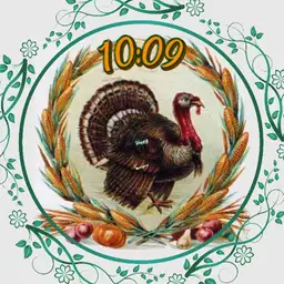 Old Fashioned Turkey