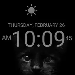 Digital Black Cat