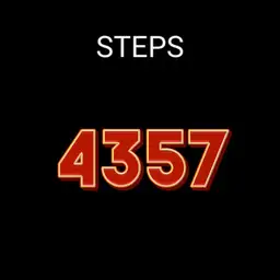 Step Counter