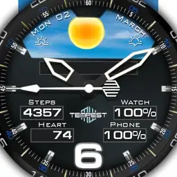 MSF Tempest no2