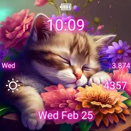 Sleepy Kitty