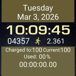 Lyntali Battery Timer