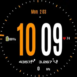 Muti function watch Ver 1