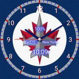 Winnipeg Jets