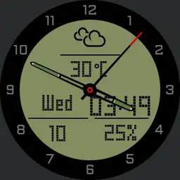 LCD Analog