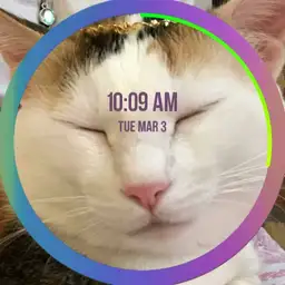 Fofo