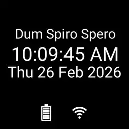dum spiro spero
