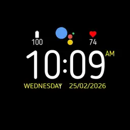 Wear OS Google Assistant