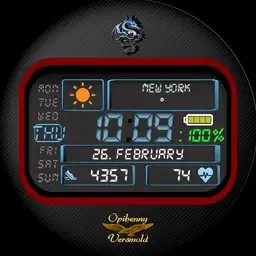 0135 LCD