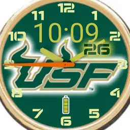 USF Bulls