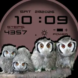 owl family