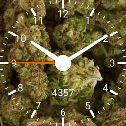 _weed by gaugaugexi
