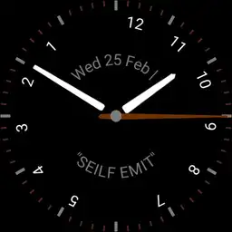 Time Flies Backwards