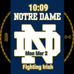 Notre Dame Fighting Irish
