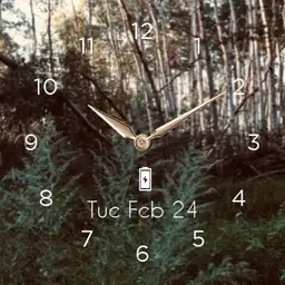SK forest