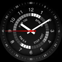 Brute All In One Monochrome Field Watch