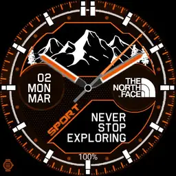 The
North
Face Mountains Orange