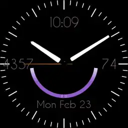 leezard watch