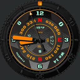 MGS1