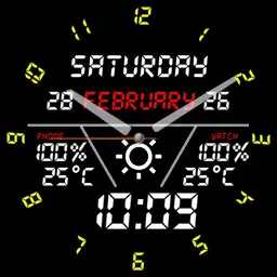 Digital watch